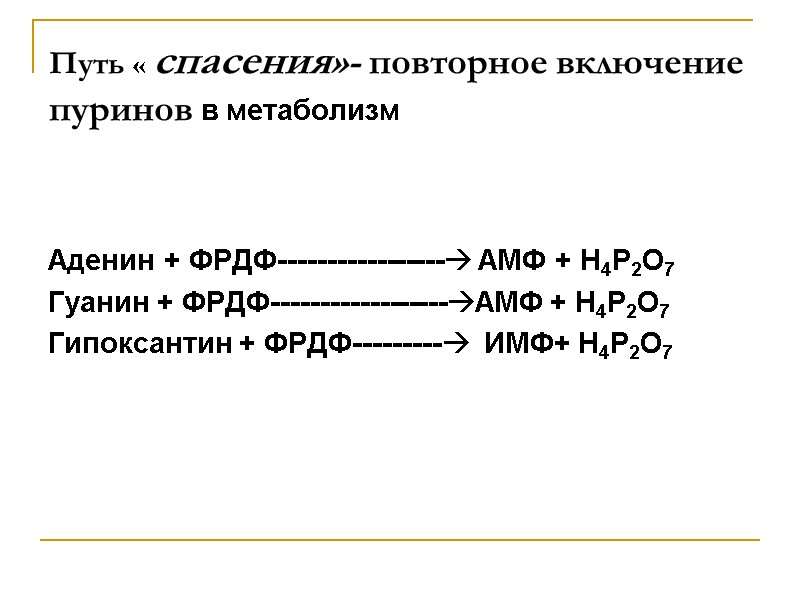 Путь « спасения»- повторное включение пуринов в метаболизм   Аденин + ФРДФ----------------- АМФ